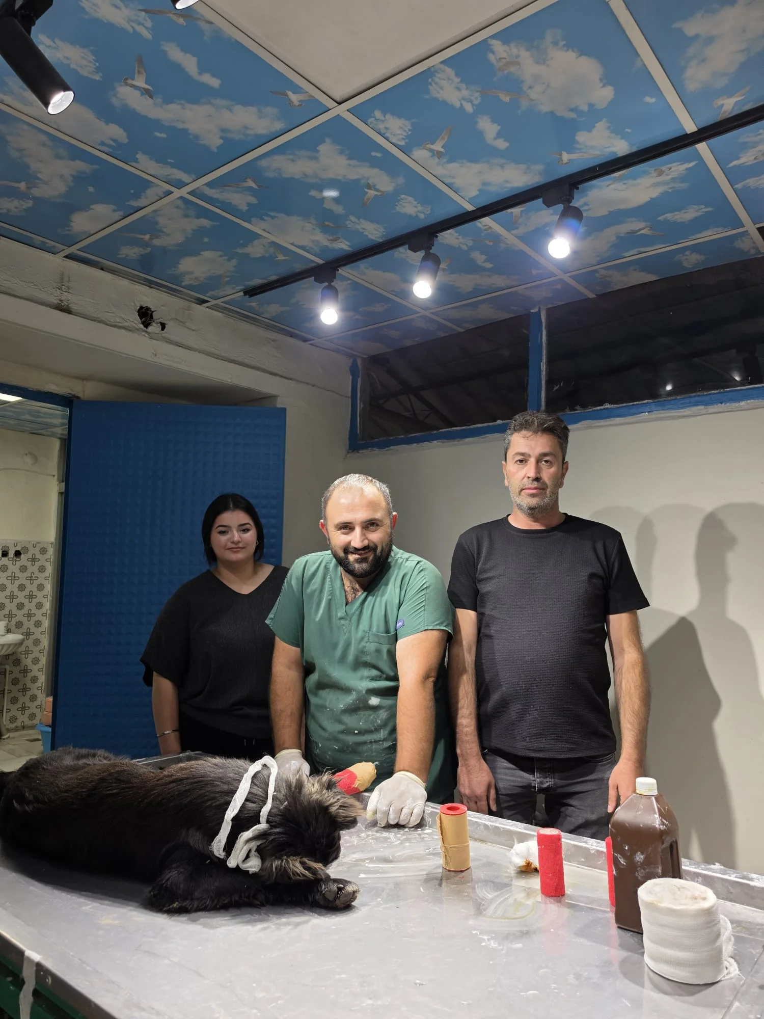 Otomobiliyle çarptığı köpeğin tedavisini üstlendi