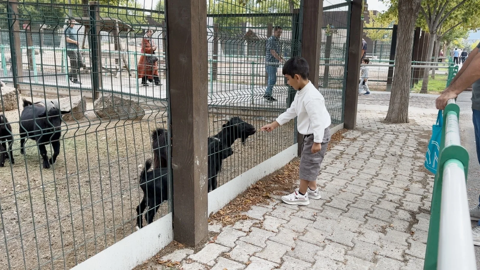 Kayseri Hayvanat Bahçesi’ne Zafer Bayramı Akını: Bir Günde 5 Bin 500 Ziyaretçi galeri görseli